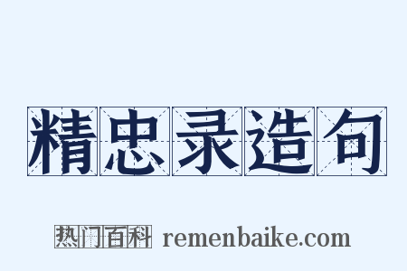 精忠录造句是什么意思的图片